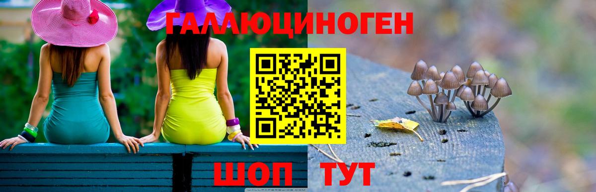 Псилоцибиновые грибы Magic Shrooms Мценск